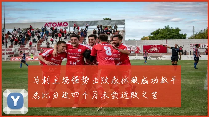 马刺主场强势击败森林狼成功扳平总比分近四个月未尝连败之苦