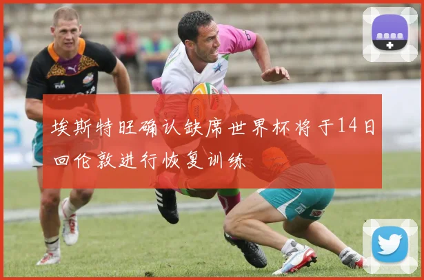 埃斯特旺确认缺席世界杯将于14日回伦敦进行恢复训练