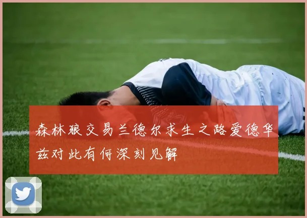 森林狼交易兰德尔求生之路爱德华兹对此有何深刻见解